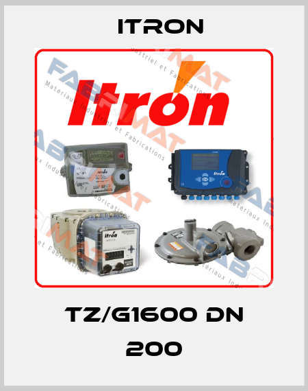 TZ/G1600 DN 200 Itron