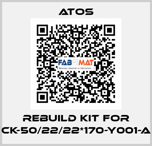 rebuild kit for CK-50/22/22*170-Y001-A Atos