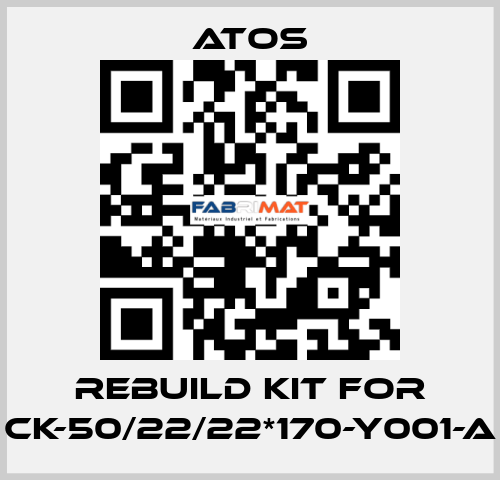 rebuild kit for CK-50/22/22*170-Y001-A Atos