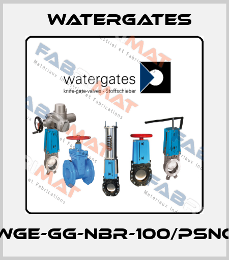 WGE-GG-NBR-100/PSNC Watergates