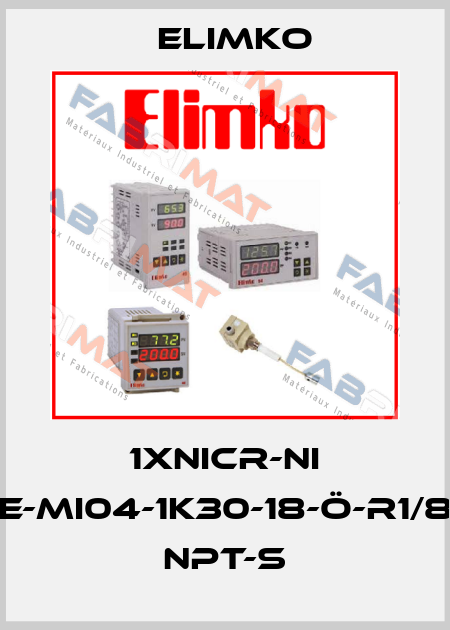 1XNICR-NI E-MI04-1K30-18-Ö-R1/8 NPT-S Elimko