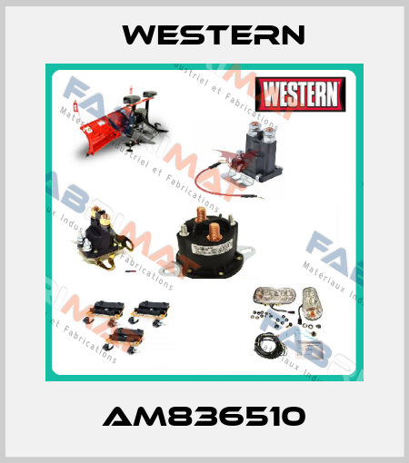 AM836510 Western