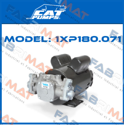 Model: 1XP180.071 Cat Pumps