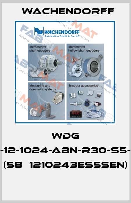 WDG 58E-12-1024-ABN-R30-S5-SEN (58Е1210243ES5SEN)  Wachendorff