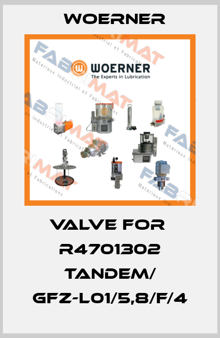 valve for  R4701302 Tandem/ GFZ-L01/5,8/F/4 Woerner