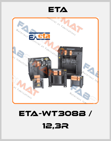 ETA-WT308B / 12,3R Eta