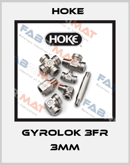 Gyrolok 3FR 3MM Hoke