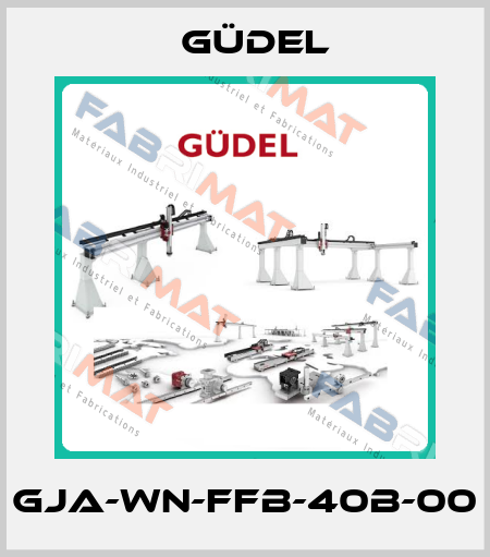 GJA-WN-FFB-40B-00 Güdel