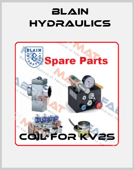 COIL FOR KV2S Blain Hydraulics