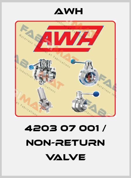 4203 07 001 / Non-return valve Awh