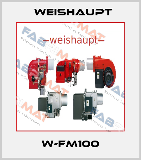 W-FM100 Weishaupt