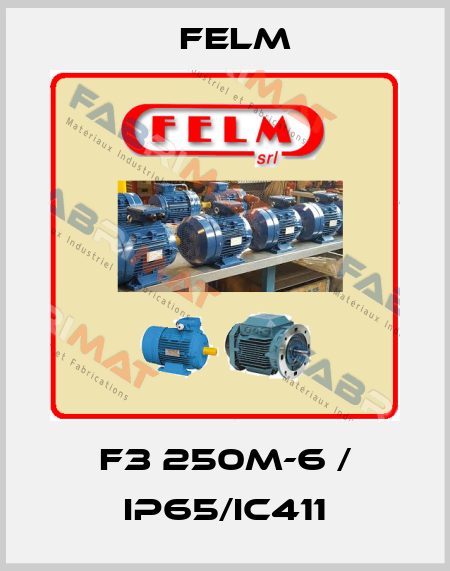 F3 250M-6 / IP65/IC411 Felm