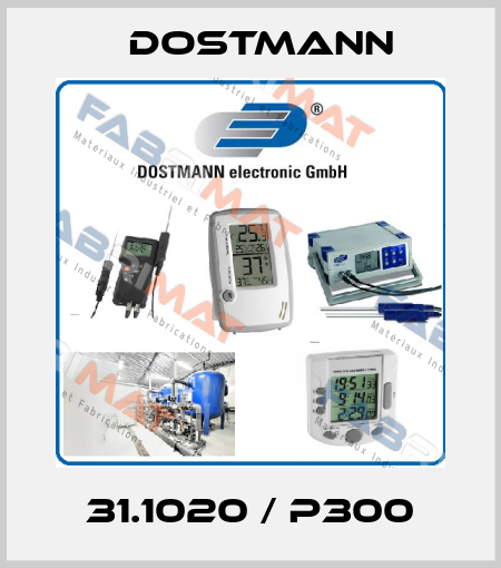 31.1020 / P300 Dostmann