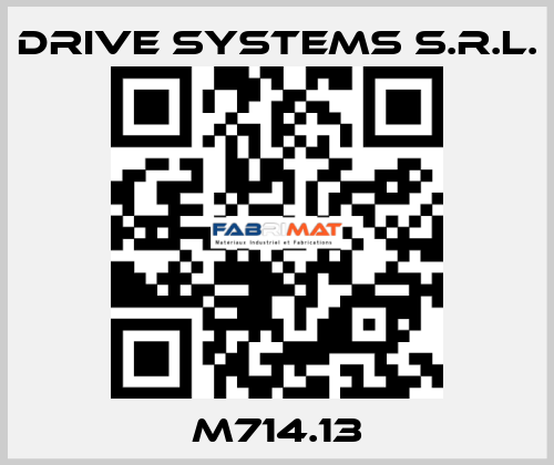 M714.13 DRIVE SYSTEMS s.r.l.