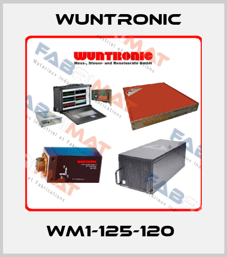 WM1-125-120  Wuntronic