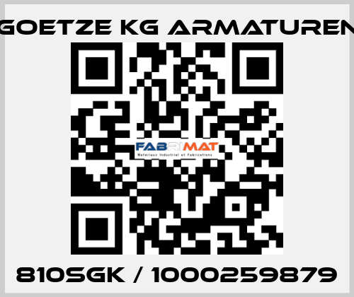 810SGK / 1000259879 Goetze KG Armaturen
