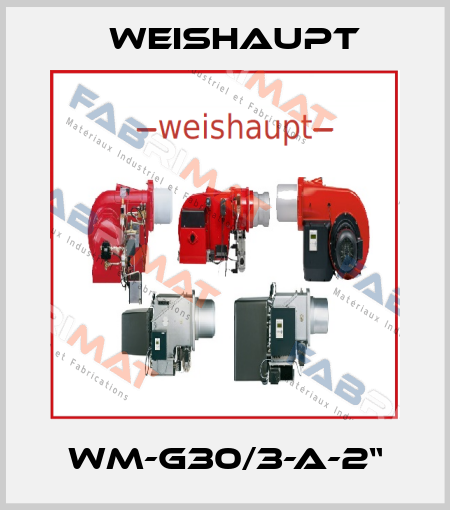 WM-G30/3-A-2“ Weishaupt