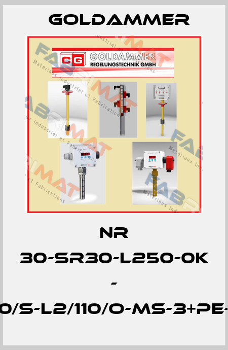 NR 30-SR30-L250-0K - L1/160/S-L2/110/O-MS-3+PE-24V Goldammer