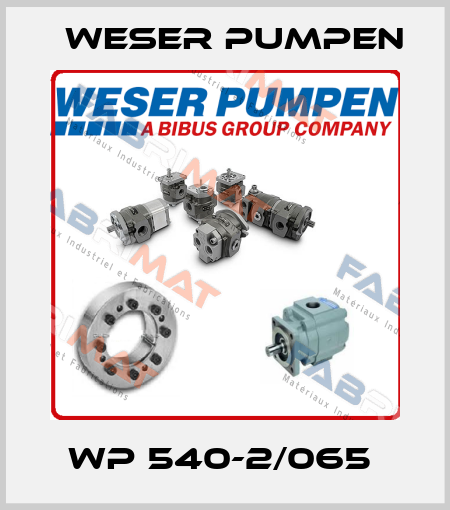 WP 540-2/065  Weser Pumpen