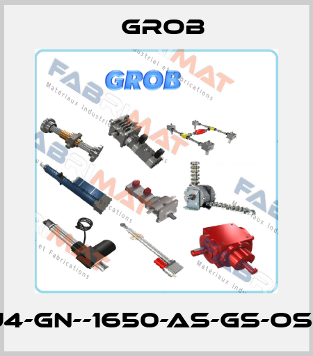 MJ4-GN--1650-AS-GS-oSch Grob