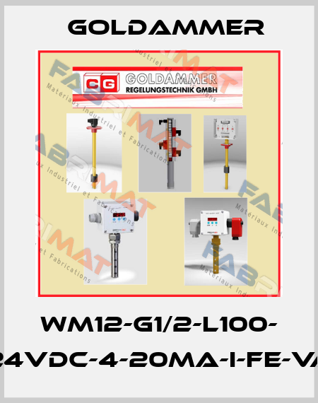 WM12-G1/2-L100- 24VDC-4-20mA-i-FE-VA Goldammer