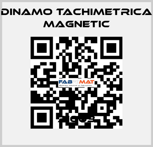 31003 Dinamo Tachimetrica Magnetic