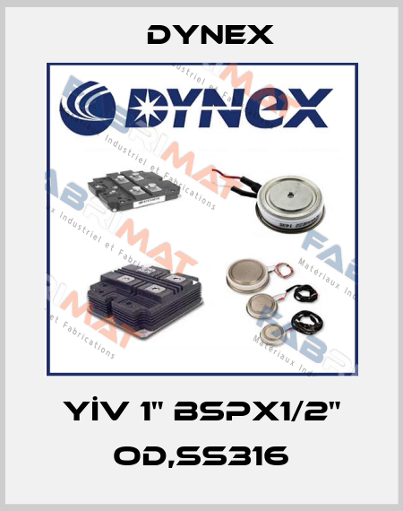 YİV 1" BSPx1/2" OD,SS316 Dynex