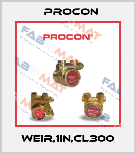 WEIR,1IN,CL300 Procon