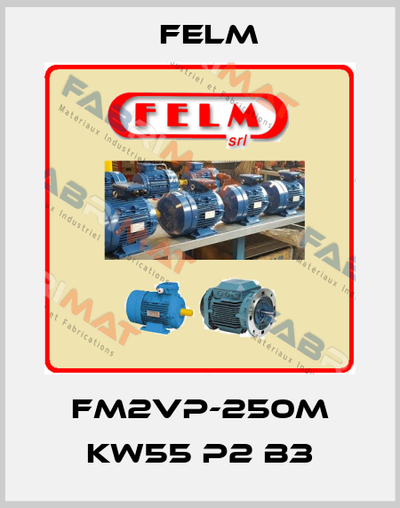 FM2VP-250M KW55 P2 B3 Felm