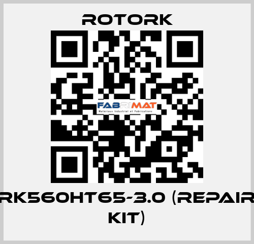 RK560HT65-3.0 (repair kit) Rotork