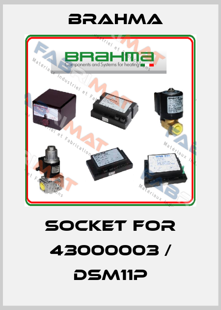 socket for 43000003 / DSM11P Brahma