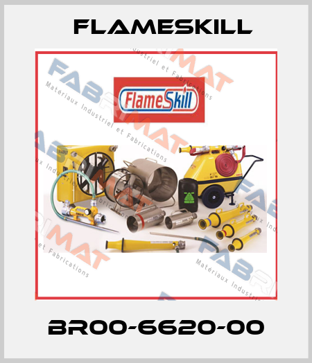 BR00-6620-00 FlameSkill