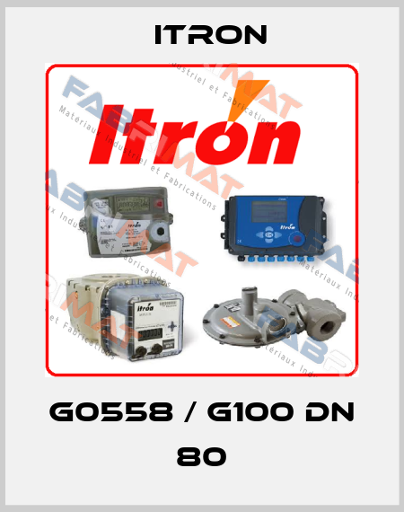 G0558 / G100 DN 80 Itron
