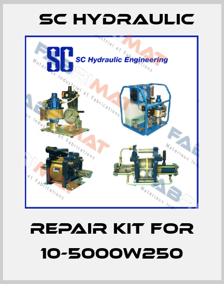 Repair kit for 10-5000W250 SC Hydraulic
