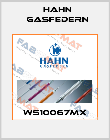 WS10067MX Hahn Gasfedern