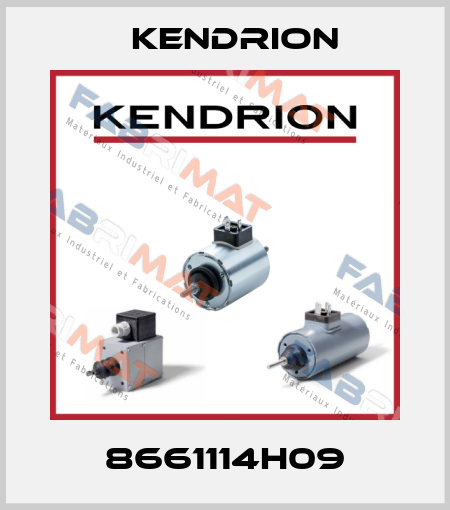 8661114H09 Kendrion