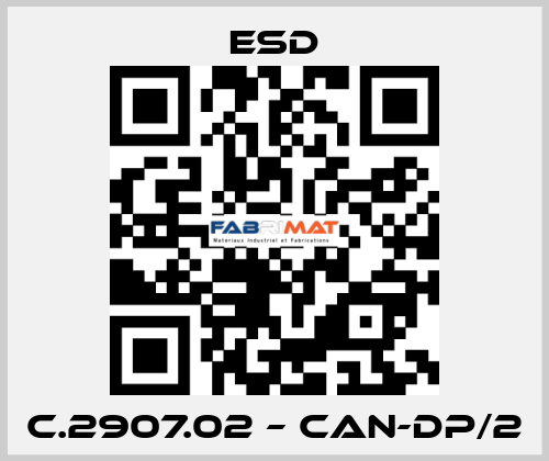 C.2907.02 – CAN-DP/2 ESD