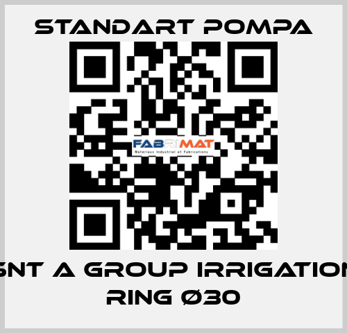 SNT A GROUP IRRIGATION RING Ø30 STANDART POMPA
