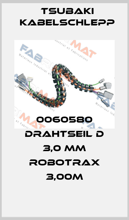 0060580 Drahtseil D 3,0 mm Robotrax 3,00M Tsubaki Kabelschlepp