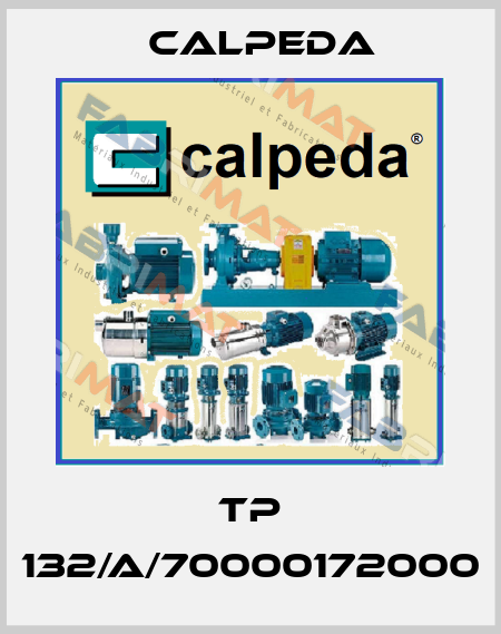TP 132/A/70000172000 Calpeda