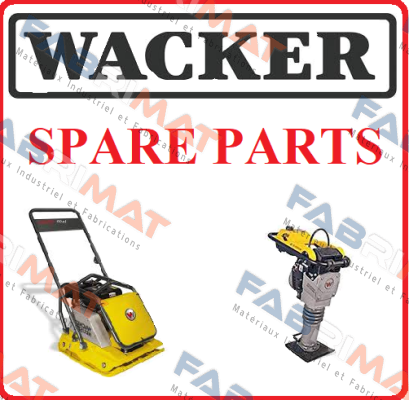 Elastosil E41 (310ml) Wacker