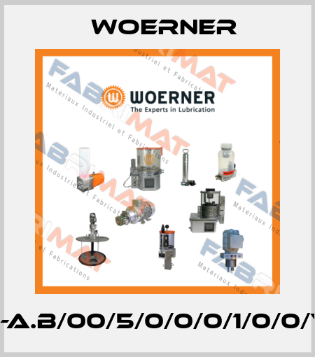 PMW-A.B/00/5/0/0/0/1/0/0/V/4/S Woerner