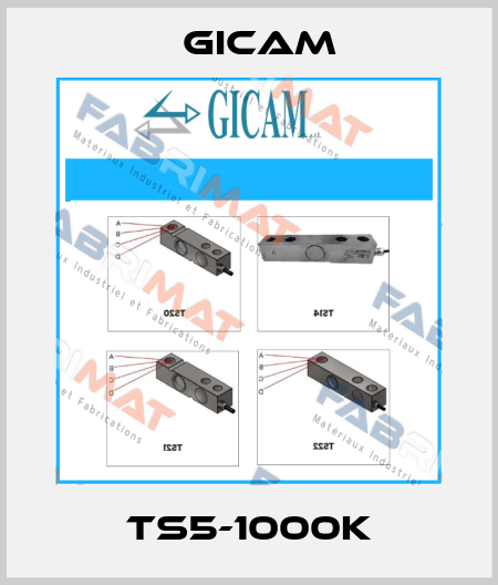TS5-1000K Gicam