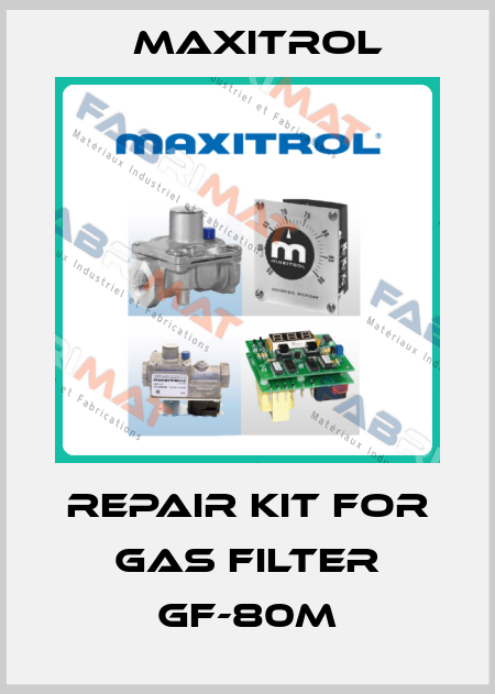 repair kit for gas filter GF-80M Maxitrol
