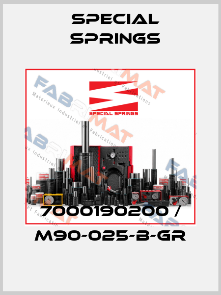 7000190200 / M90-025-B-GR Special Springs