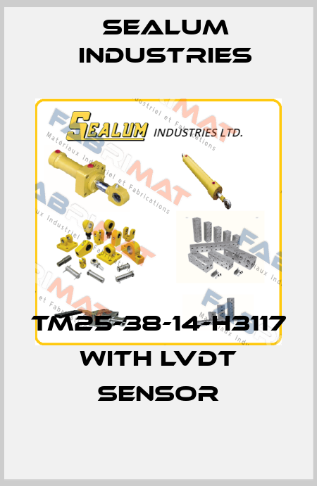 TM25-38-14-H3117 with LVDT sensor SEALUM INDUSTRIES