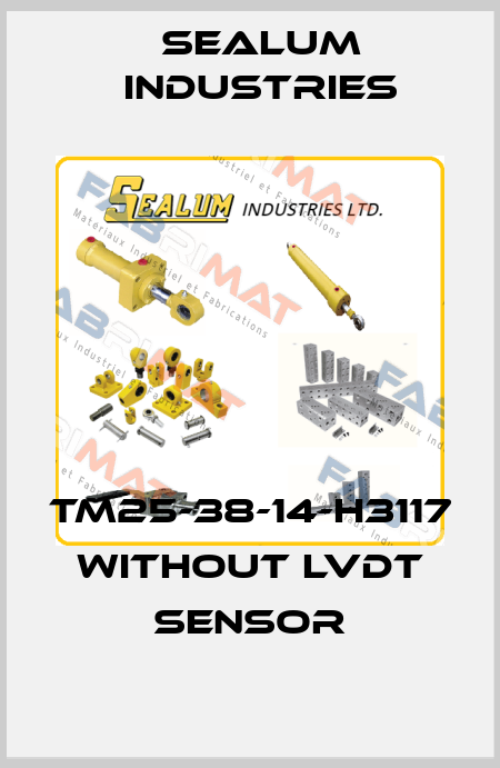 TM25-38-14-H3117 without LVDT sensor SEALUM INDUSTRIES