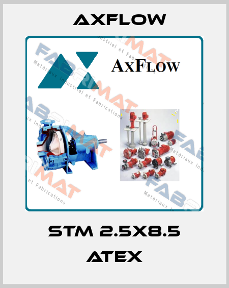 STM 2.5X8.5 ATEX Axflow