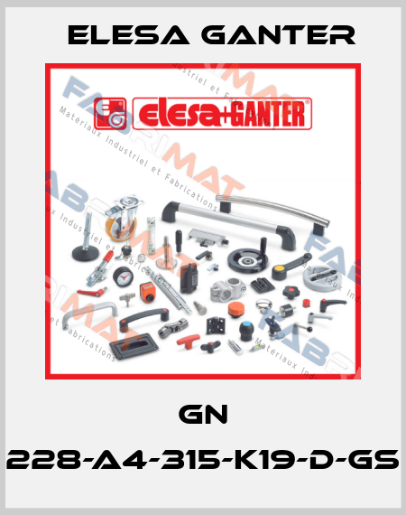 GN 228-A4-315-K19-D-GS Elesa Ganter