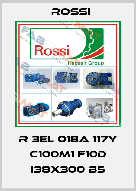 R 3EL 018A 117Y C100M1 F10d I38x300 B5 Rossi